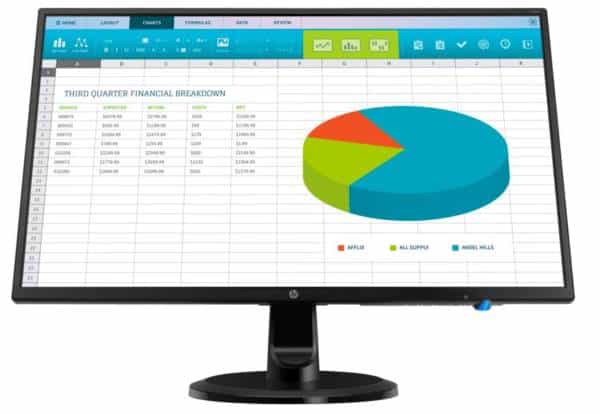 HP N246v Monitor