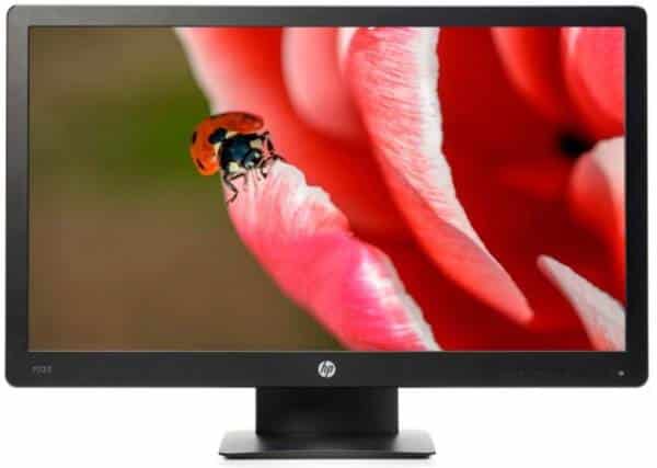 HP ProDisplay P223 Monitor