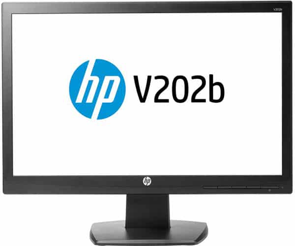 HP V202b 19.5 Monitor